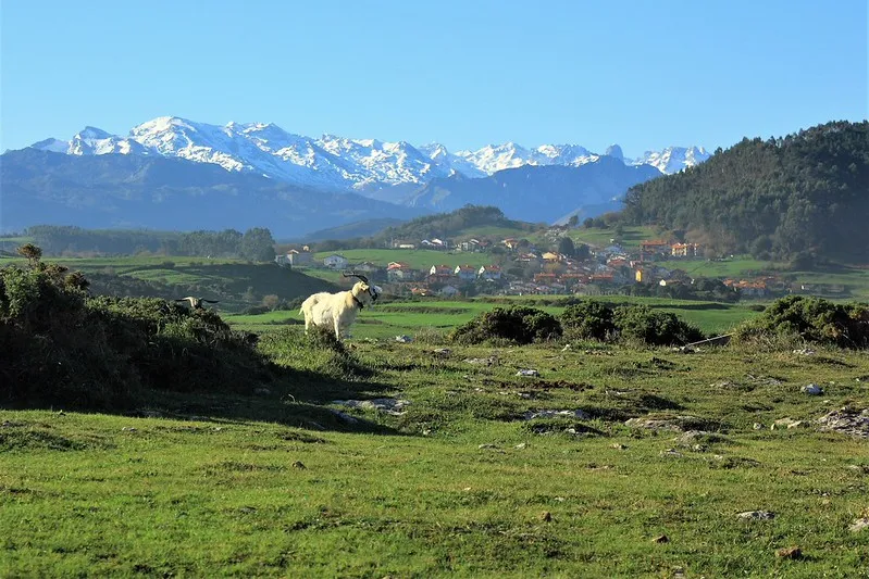 Picos de europa desde el parque nacional de oyambre.